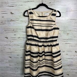 Calvin Klein Black and Cream Striped Midi Dress size 10